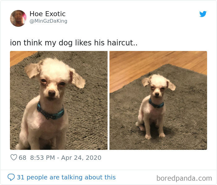 4. He's Judging His Human So Hard