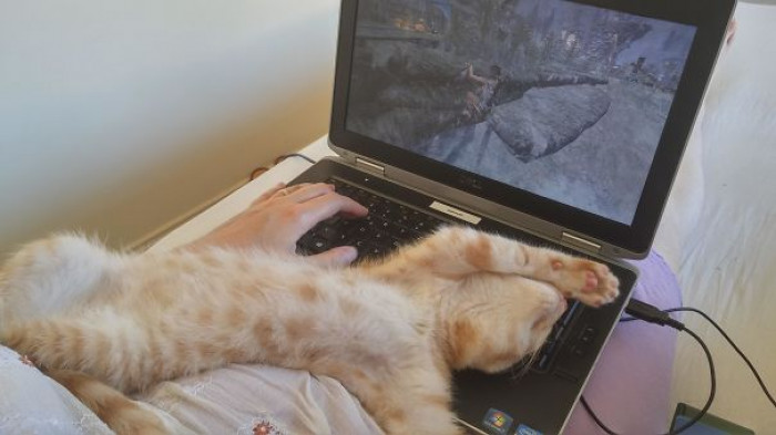 18. "Paint me like one of those French girls!"
