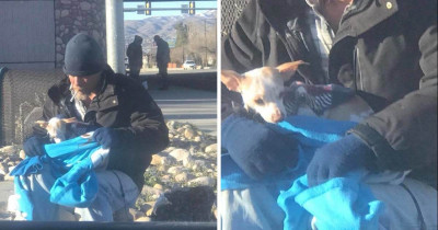 Kind Homeless Man Helps Out An Abandoned Dog In Need