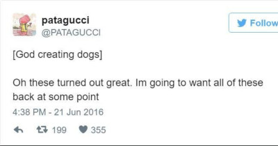 People Imagined God's Thoughts While Creating Animals, and the Results Are Hilarious