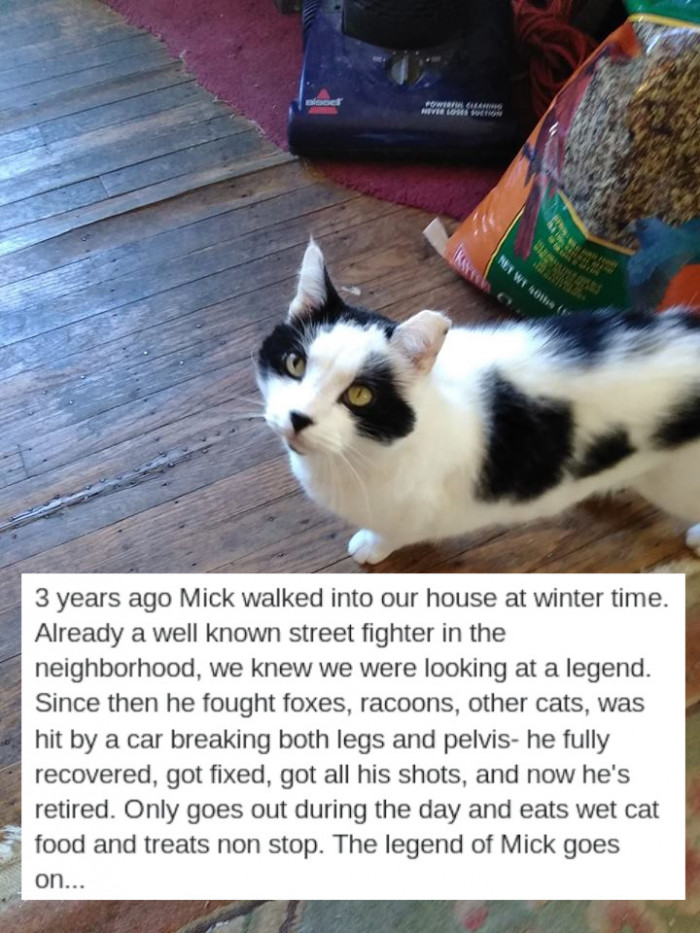 26. The Legend of Mick