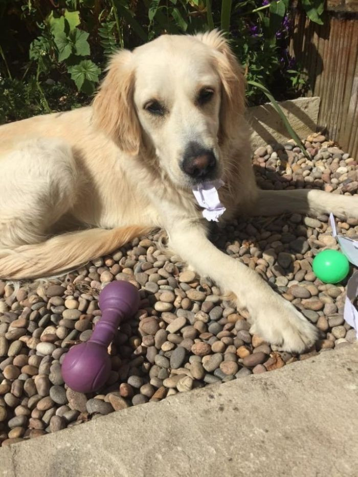 "These are my toys; what are you talking about?"