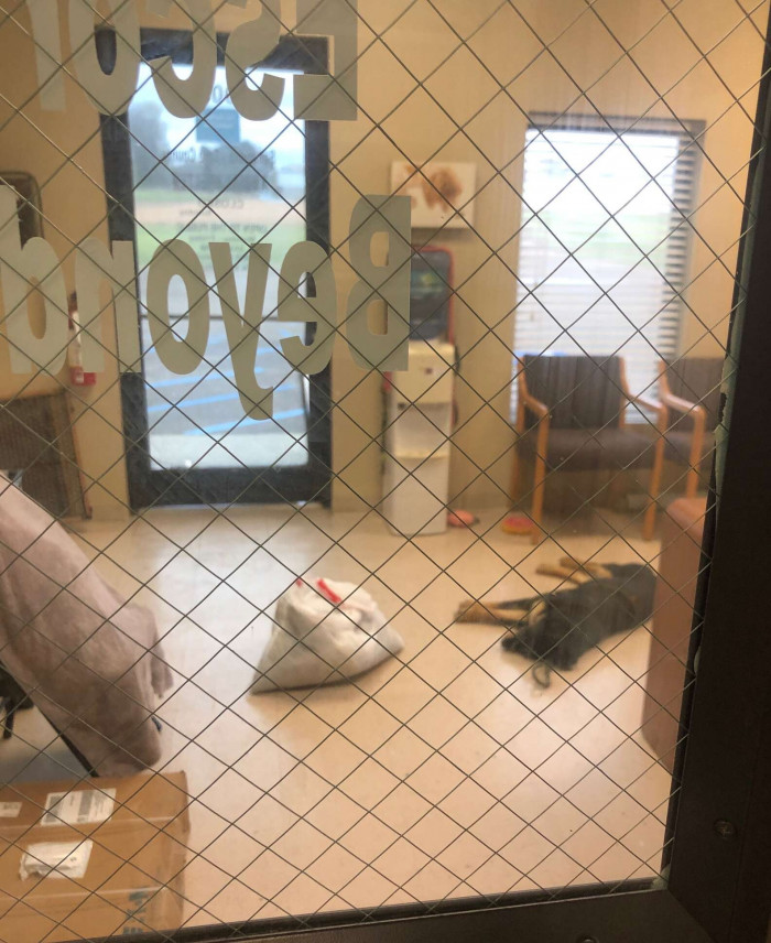 He was homeless and couldn't take care of her