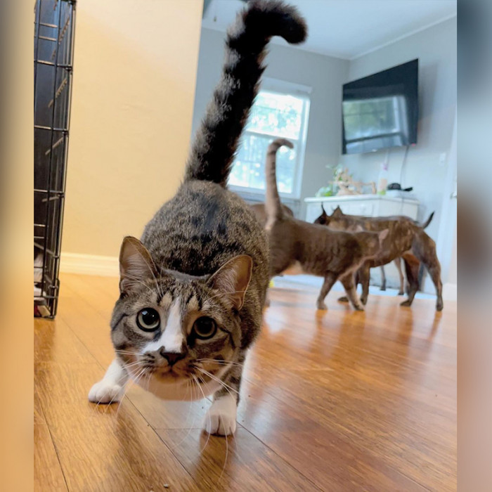 Duck has infinite energy and is really playful.