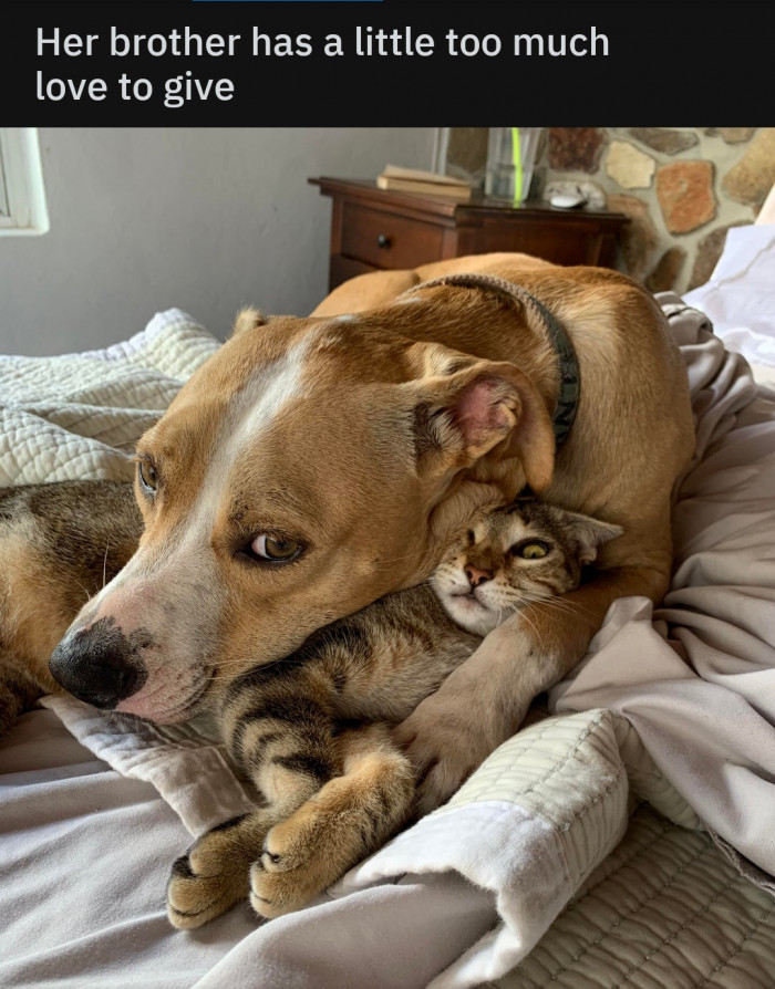Do. Not. Want.