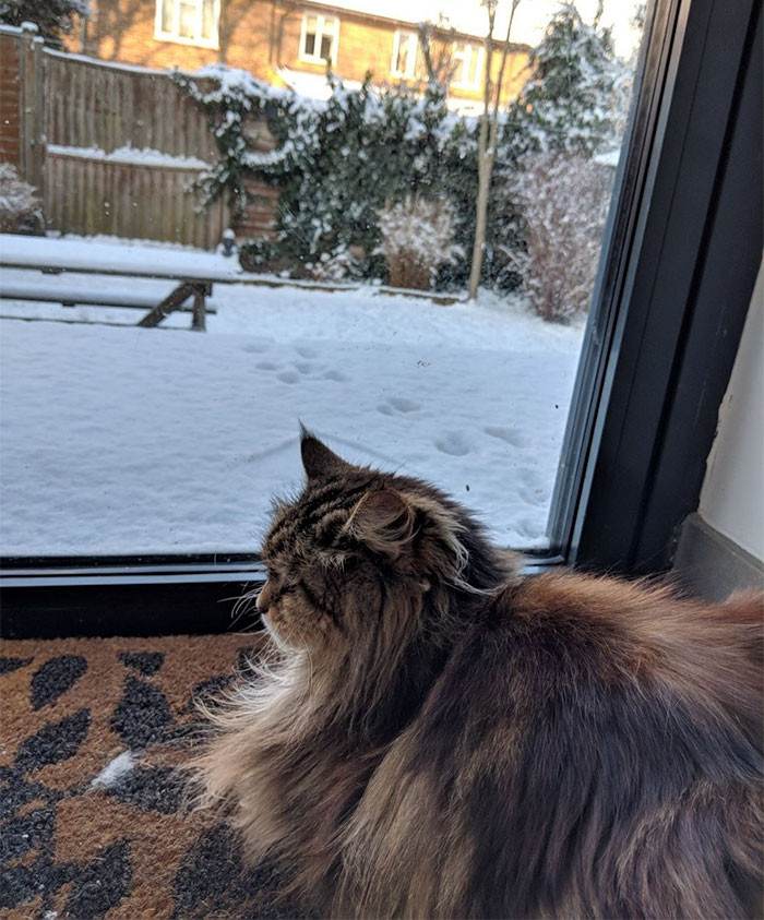 Is Willow planning on starting her own pink flower garden?