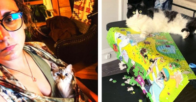 10+ Every Day Situations With Cats Only A Cat Parent Will Understand