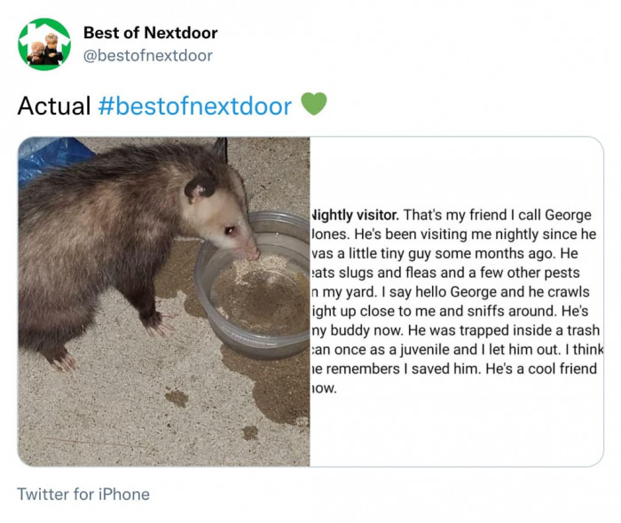 4. A serious friendship has been formed.