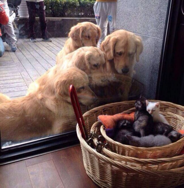 21. "What Are Theeeeeeeeese?"