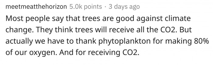 18. SAVE THE OCEAN, Y'ALL!
