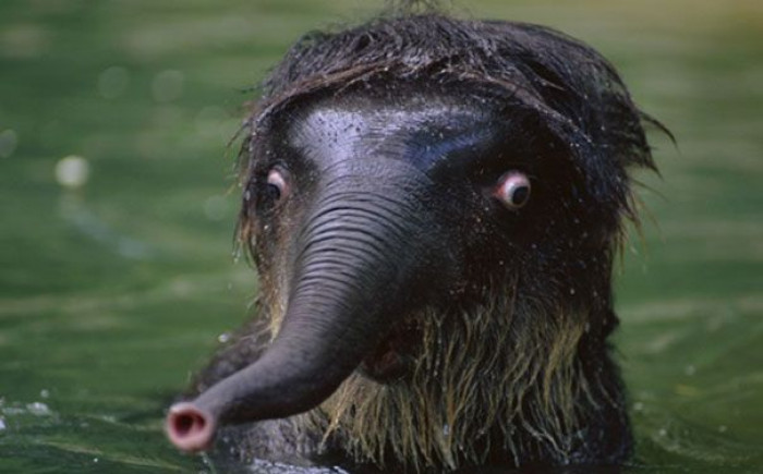 3. When the water is too cold