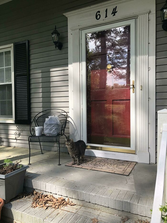 11. The Homeowner Ran Out to My Car and Escorted Me Up to the Front Door Before Guarding the Food