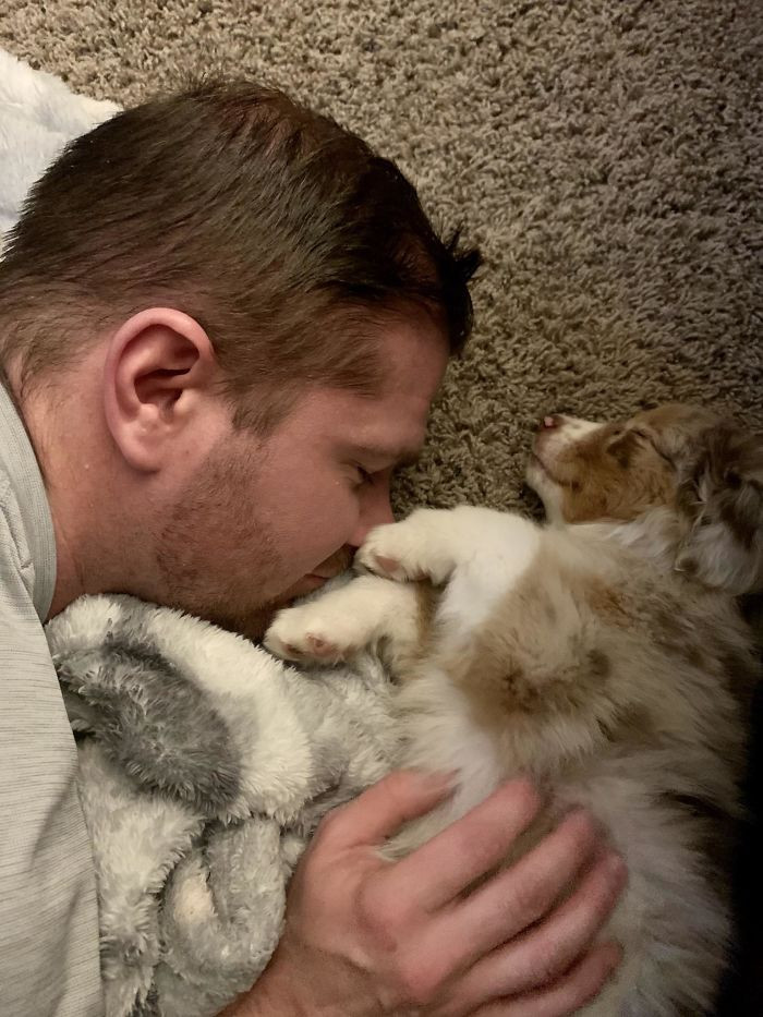 “We Aren’t Getting A Damn Dog.”- Husband, One Year Ago. “Awww, She Keeps Crying, Can’t She Just Sleep With Us?” - Husband, Two Days After We Acquired This Little Squirt