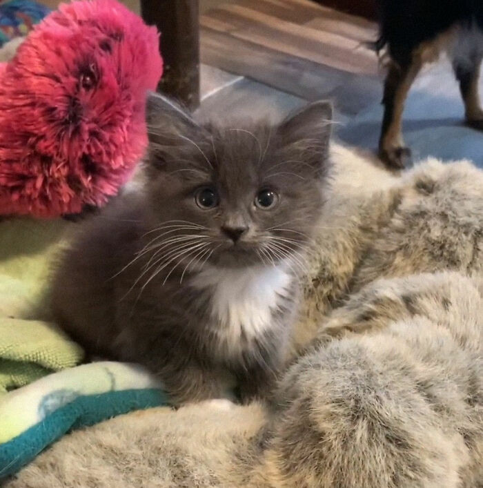 Basner also explained how they have taken special care of her according to her needs.