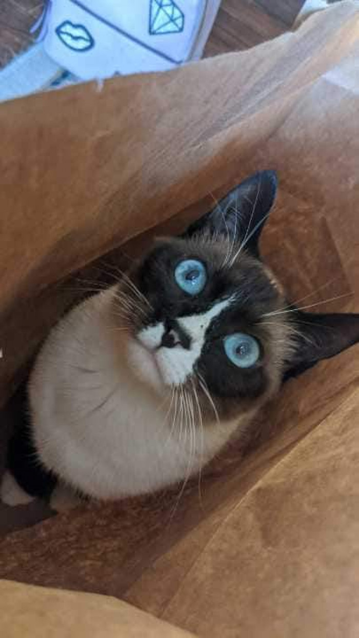 "My blue-eyed beauty."