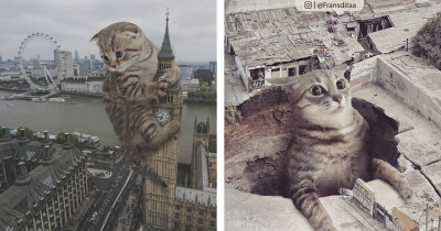 This Guy Photoshops Giant Cats And Creates Some Incredible Cat-zilla Scenes