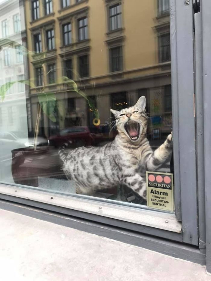 "Met A New Friend Today"