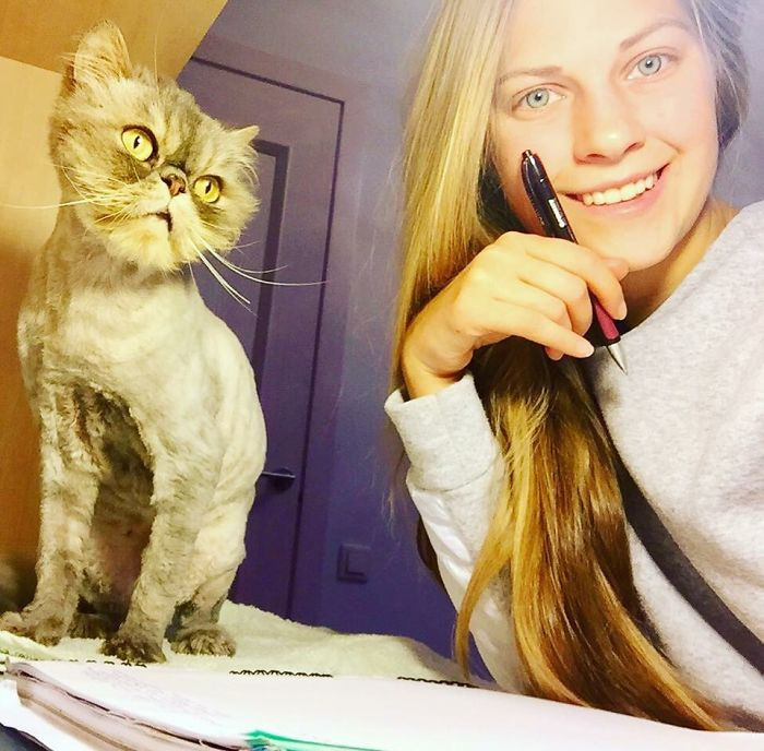 The time cats may or may not spend in temporary homes varies significantly from cat to cat.