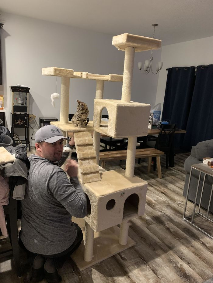 “We Are Never Getting A Cat” - My Husband