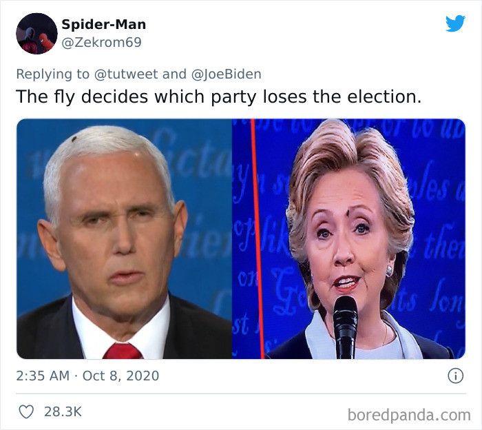 16. The fly sent by Apollo for prophecies.