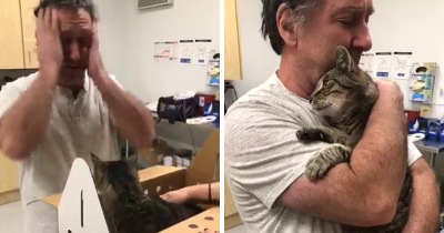 Man Has Emotional Reunion With His 19-Year-Old Cat 7 Years After He Went Missing