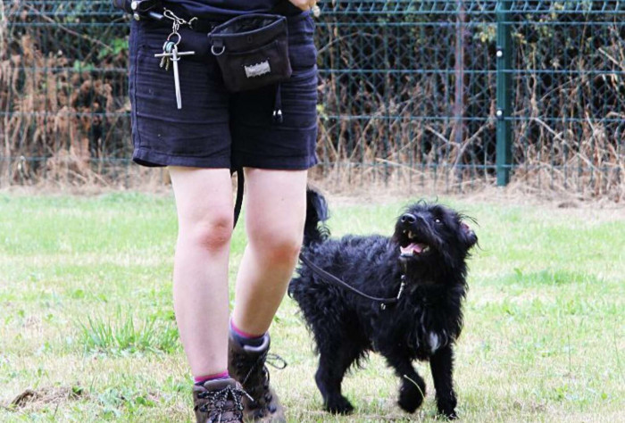 But he is not giving up