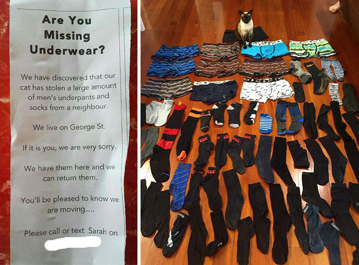 Actually, I'm not even mad.