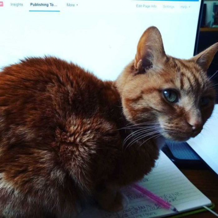 4. "Soaps Editor Duncan has Butters ready to assist."