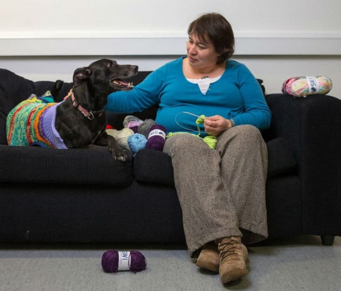 Knitting in Progress