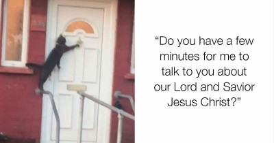 Video Of A Cat Knocking On A Door Went Viral