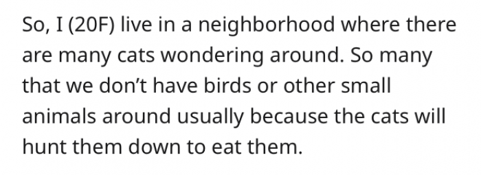 The lady shares what her area is like on the AITA subreddit.