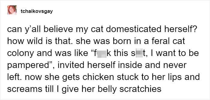 The  author wrote that the cat invited herself into their family