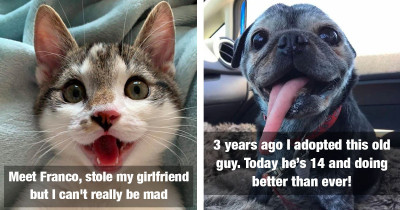 19 Pictures Of Totally Happy Animals Is Just What You Needed To Make Your Day