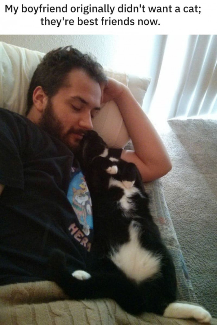 10+ Boyfriends Who Swore They Didn't Want Cats... Until They Got One