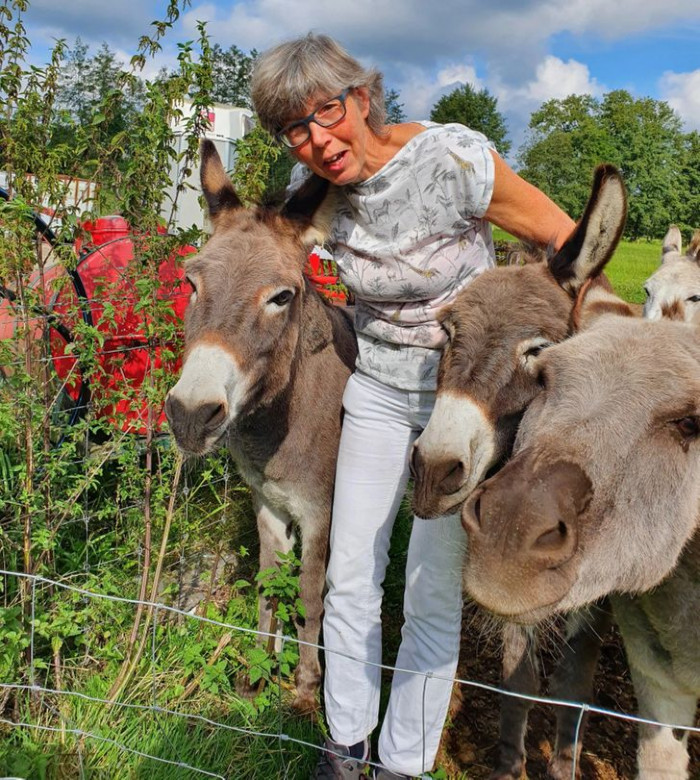 15. “It seems that these donkeys have not forgotten about my mom since she petted them at this zoo six years ago.”