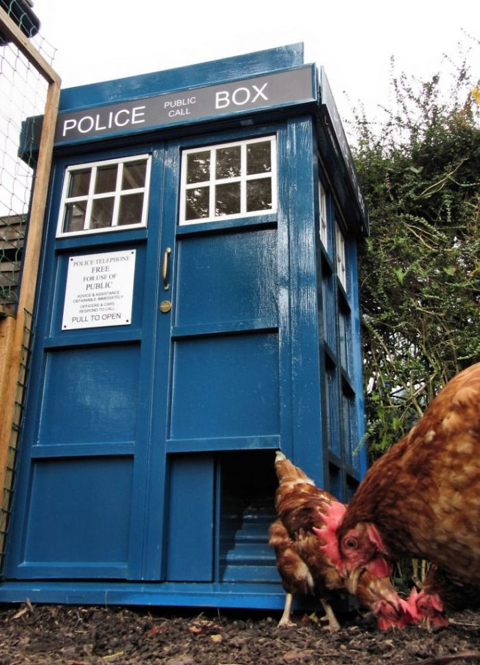 3. Police station to protect the hens.