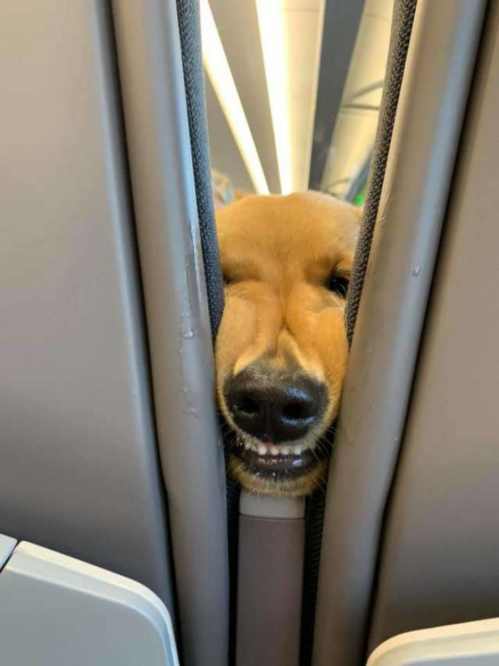 Gave a big grin...