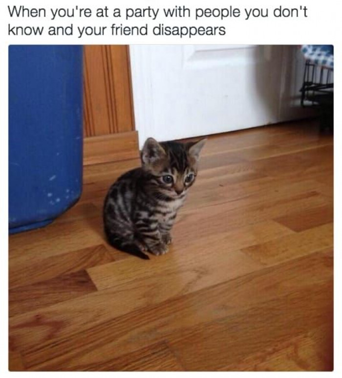 10. I don't know any of these people; please help