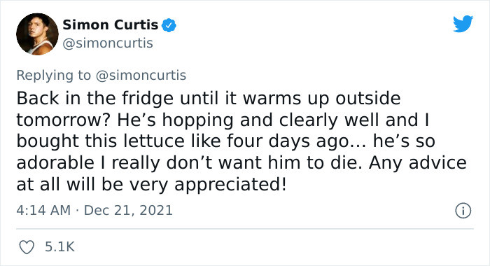 He Wants to Ensure That the Temperature Is Comfortable Enough for the Frog