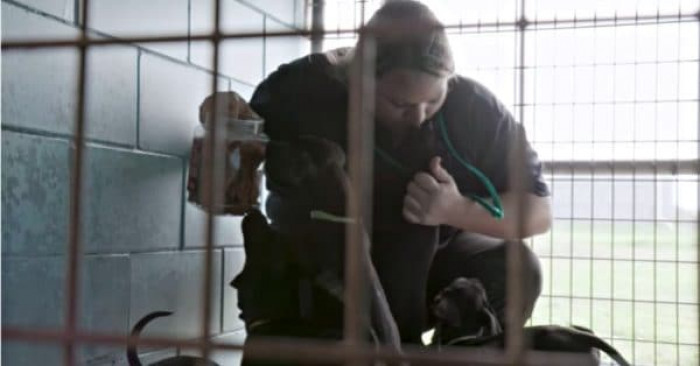 Chief of Police, John Cornish, recalled that before Denney arrived, the schedule was every Wednesday.