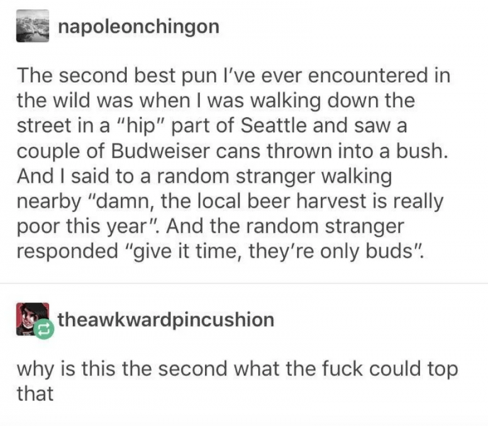 5. How dare you not tell us the best pun you've ever encourtered