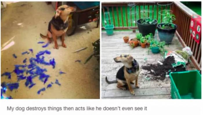 I am blind to negativity!