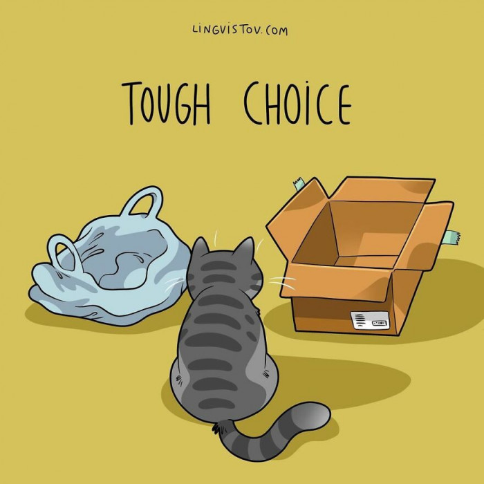 19. The best spots in the house