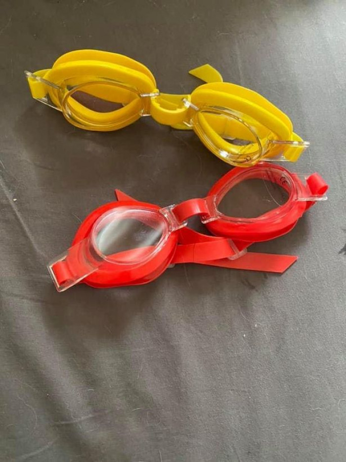 Cat sits with colorful swimming goggles, baffling its owner about their origin.