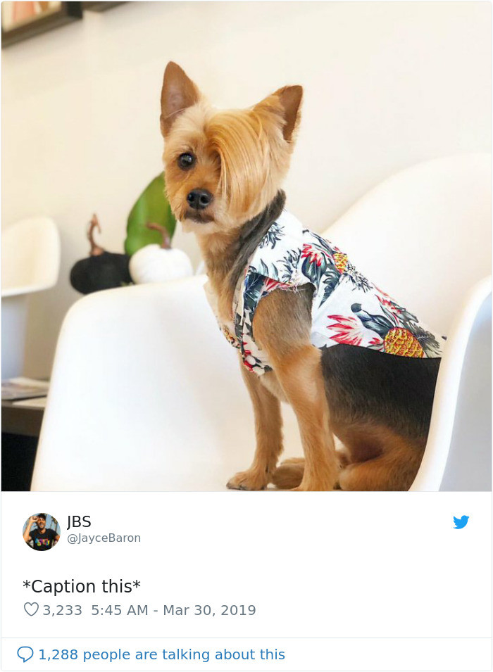 Now that you have the "backstory..."