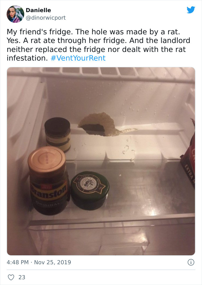 6. A rat eating through a fridge