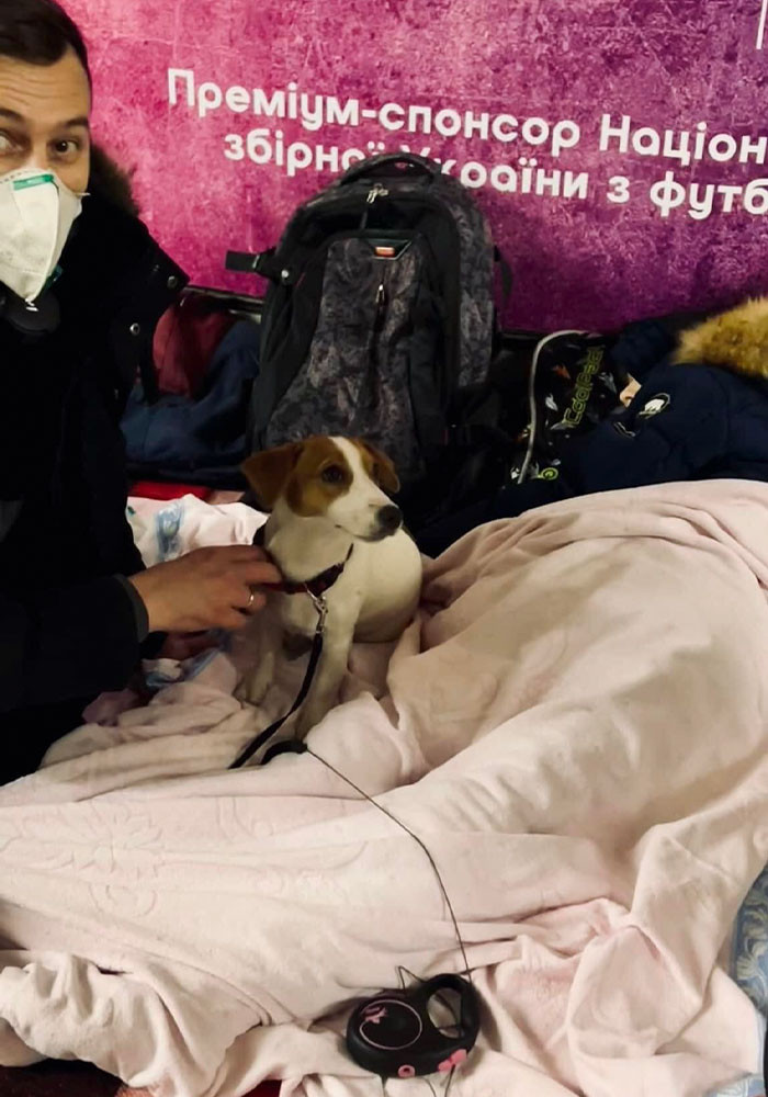 #33 Here's my dog...