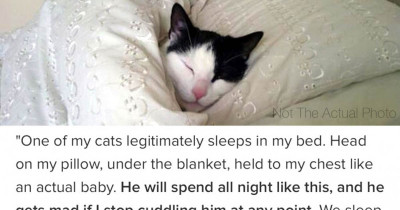 Pet Owners Share The Hilarious Quirks Their Fur-Babies Have Surprised Them With