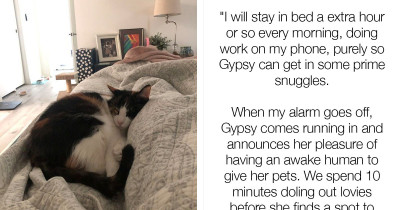 People Speak About Things Their Pets Inadvertently Conditioned Them To Do