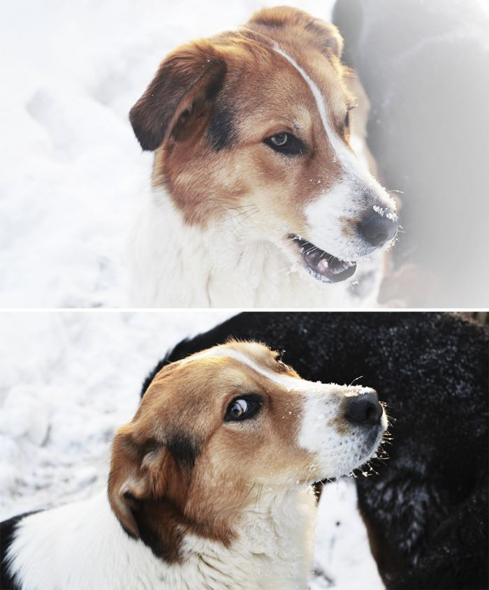 4. From glorious to suspicious